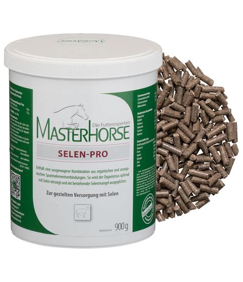 masterhorse|MASTERHORSE .